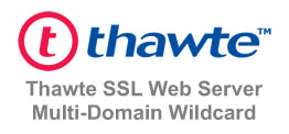 Thawte SSL Web Server SAN 多域名通配符 OV 证书